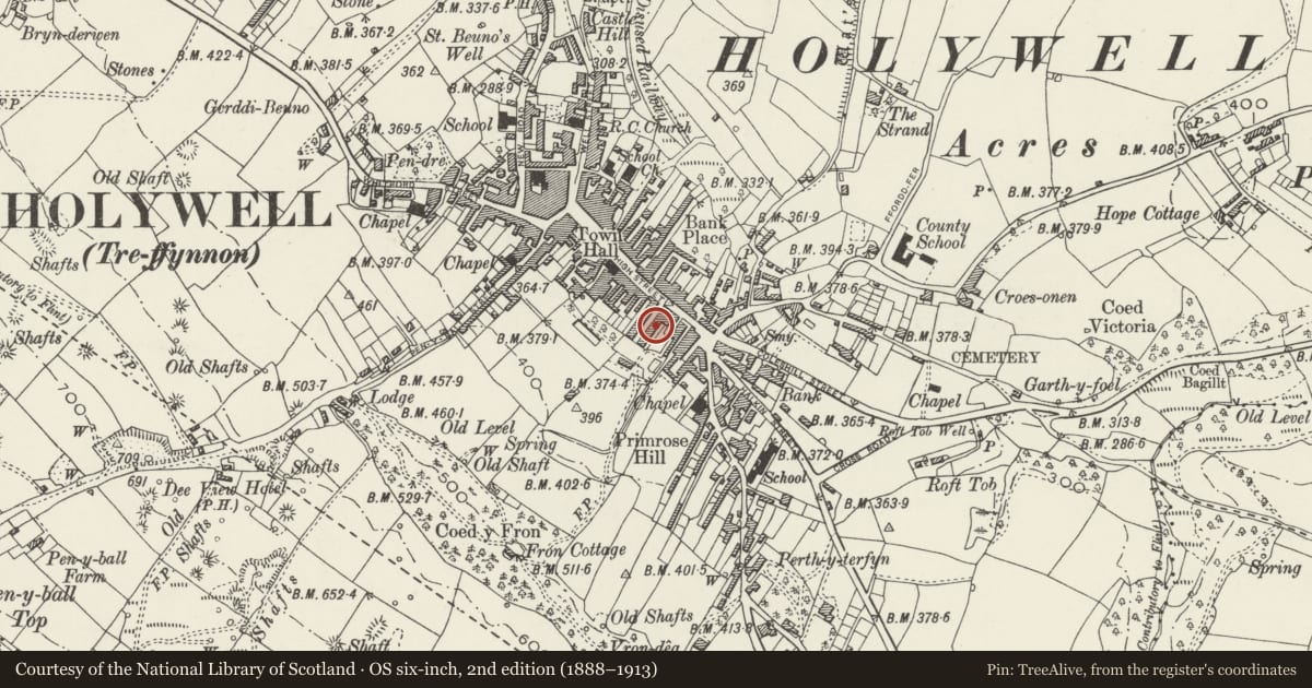 Ordnance Survey six-inch map, 2nd edition (1888–1913) covering the location of 2, Holywell, Flintshire, with a pin at the register's coordinates