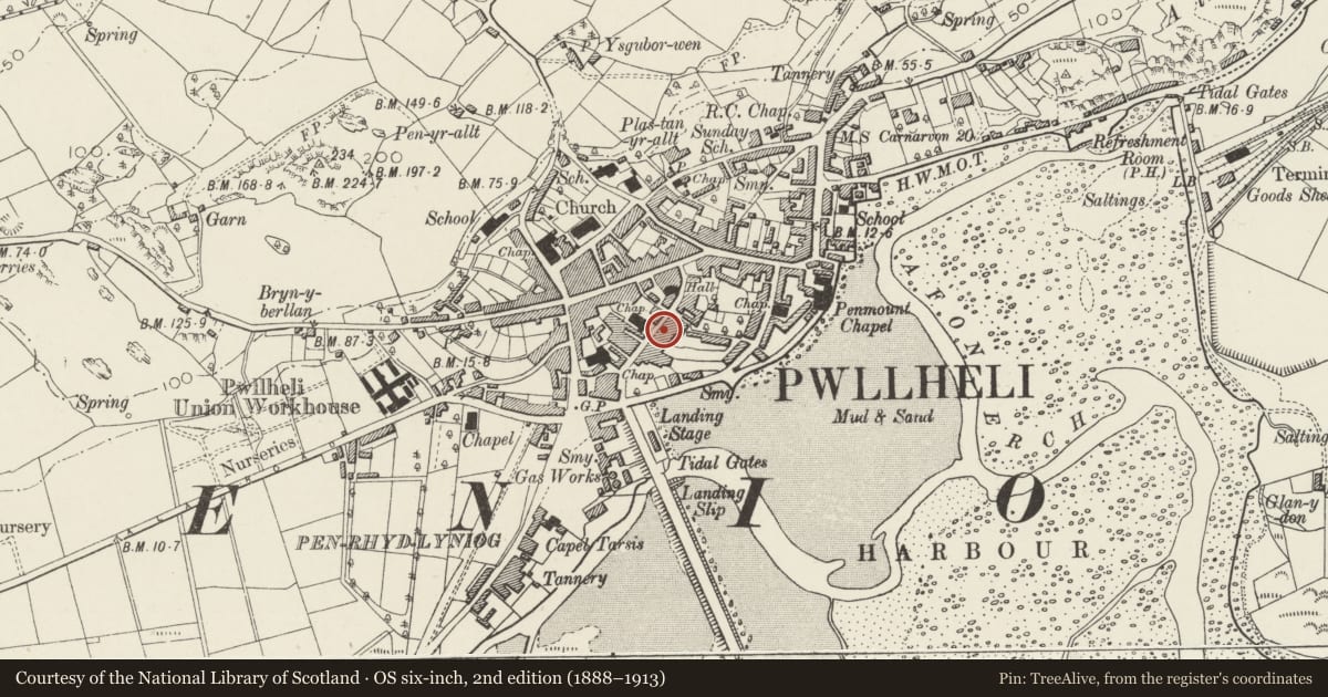 Ordnance Survey six-inch map, 2nd edition (1888–1913) covering the location of Walsall Stores, Pwllheli, Gwynedd, with a pin at the register's coordinates
