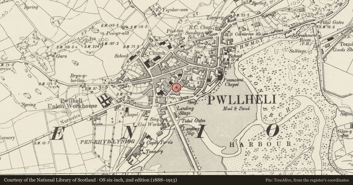 Ordnance Survey six-inch map, 2nd edition (1888–1913) covering the location of Siop Megan & Solicitors Office, Pwllheli, Gwynedd, with a pin at the register's coordinates
