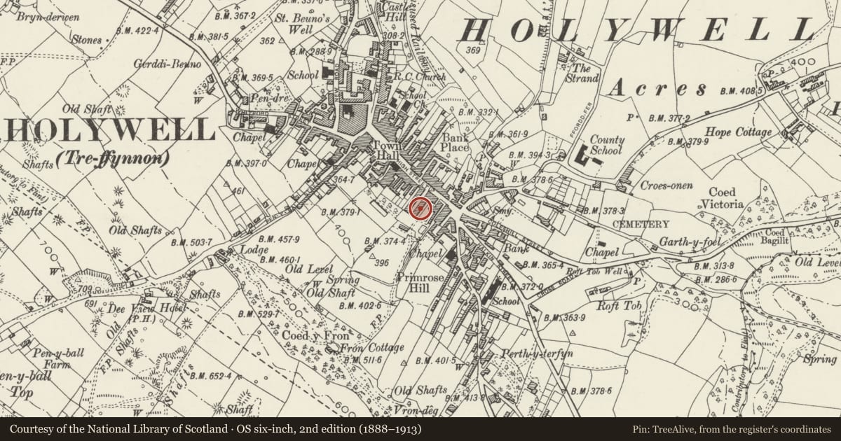 Ordnance Survey six-inch map, 2nd edition (1888–1913) covering the location of 3, Holywell, Flintshire, with a pin at the register's coordinates