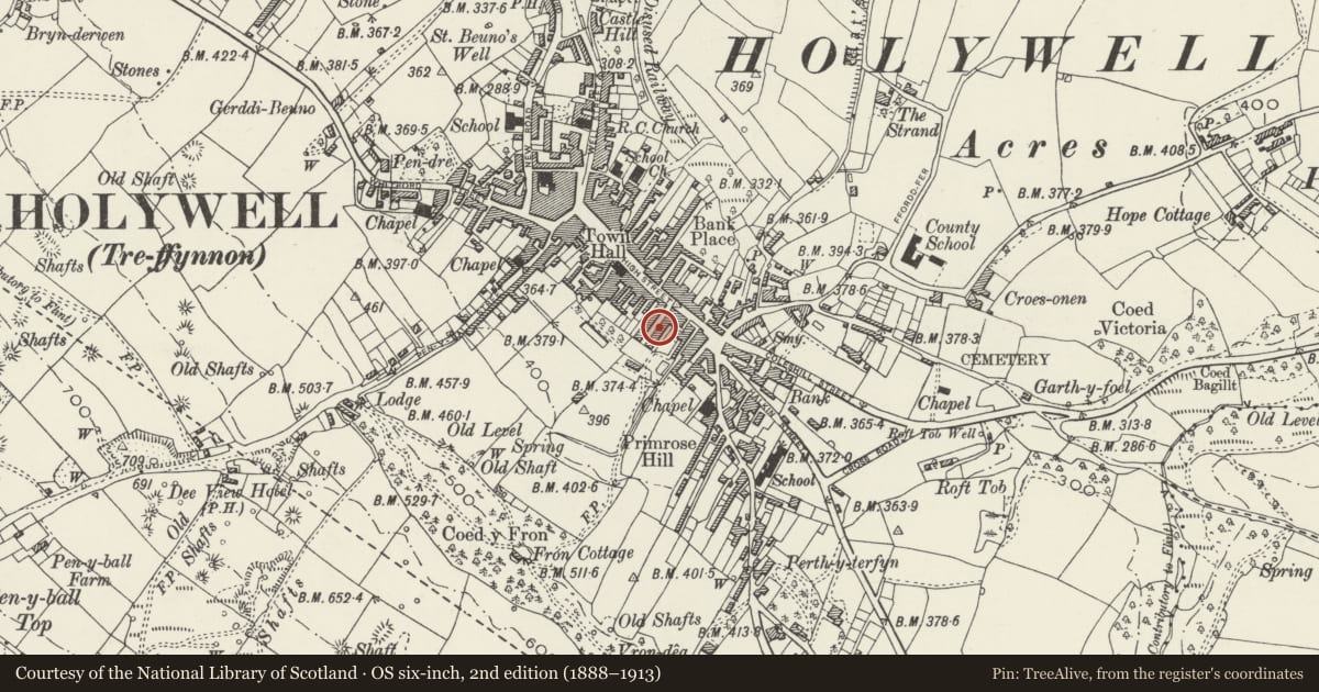Ordnance Survey six-inch map, 2nd edition (1888–1913) covering the location of 4, Holywell, Flintshire, with a pin at the register's coordinates