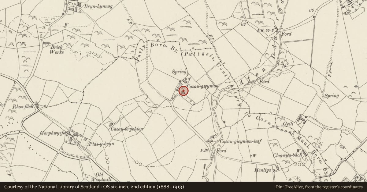 Ordnance Survey six-inch map, 2nd edition (1888–1913) covering the location of Horse Engine House at Cae Gwynion Uchaf Farm, Pwllheli, Gwynedd, with a pin at the register's coordinates