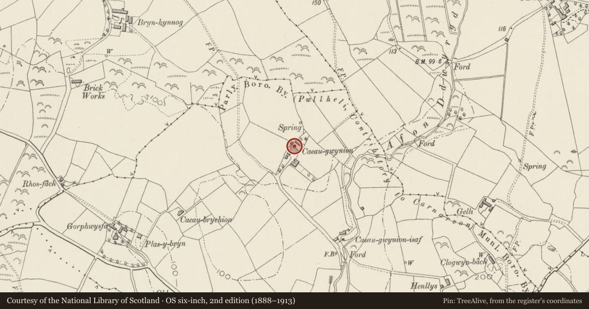 Ordnance Survey six-inch map, 2nd edition (1888–1913) covering the location of Range to SW.Side of Farmyard at Cae Gwynion Uchaf Farm, Pwllheli, Gwynedd, with a pin at the register's coordinates