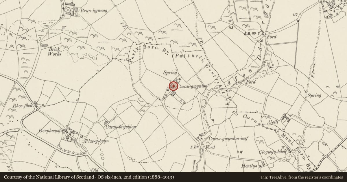 Ordnance Survey six-inch map, 2nd edition (1888–1913) covering the location of Dutch Barn at Cae Gwynion Uchaf Farm, Pwllheli, Gwynedd, with a pin at the register's coordinates