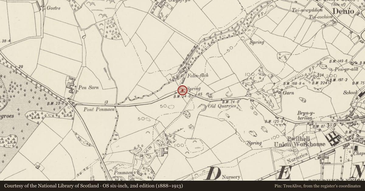 Ordnance Survey six-inch map, 2nd edition (1888–1913) covering the location of Ffynnon Felin Bach, Pwllheli, Gwynedd, with a pin at the register's coordinates