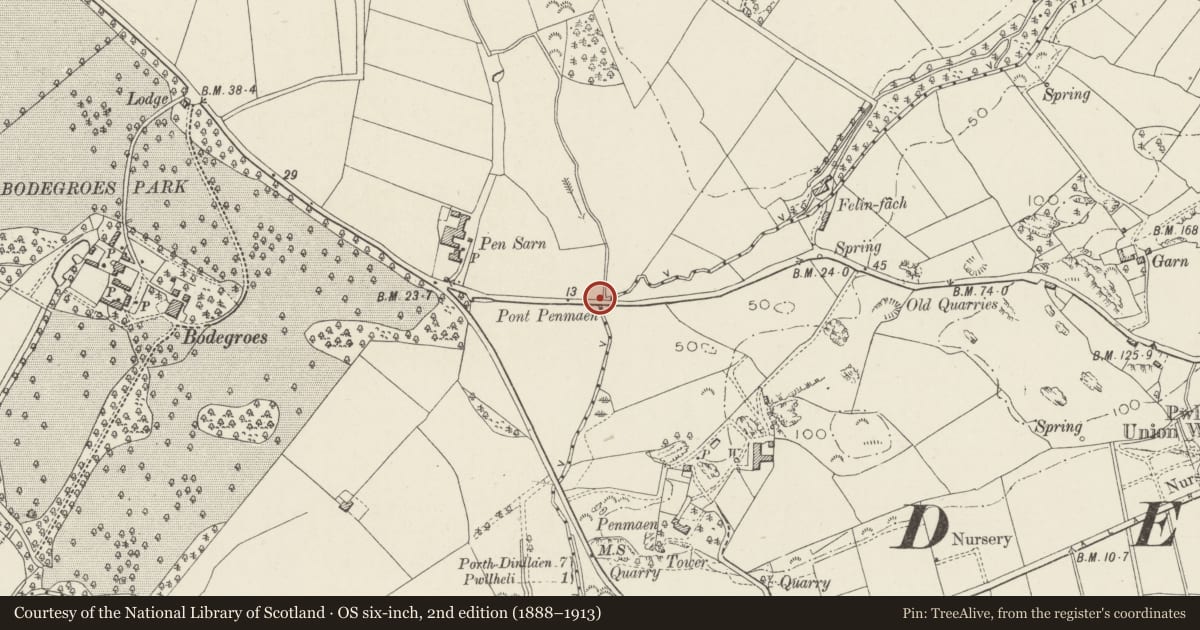 Ordnance Survey six-inch map, 2nd edition (1888–1913) covering the location of Pont Pensarn, Pwllheli, Gwynedd, with a pin at the register's coordinates