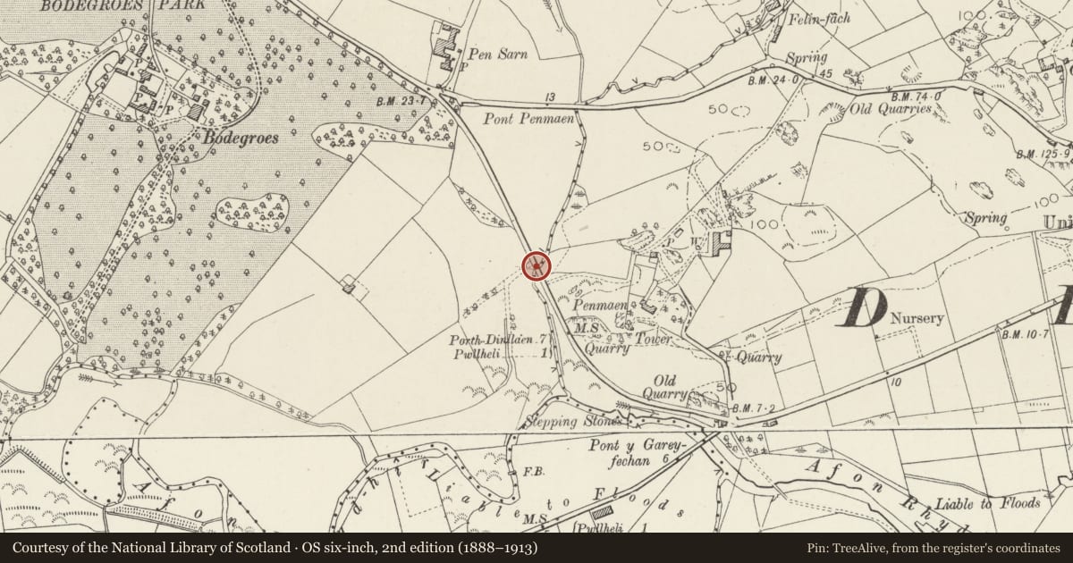 Ordnance Survey six-inch map, 2nd edition (1888–1913) covering the location of Pont Penmaen, Pwllheli, Gwynedd, with a pin at the register's coordinates