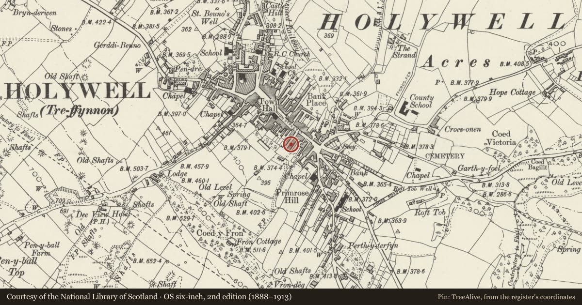 Ordnance Survey six-inch map, 2nd edition (1888–1913) covering the location of 5, Holywell, Flintshire, with a pin at the register's coordinates