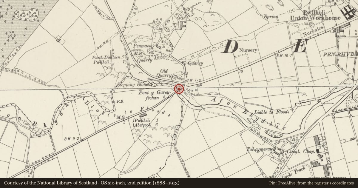 Ordnance Survey six-inch map, 2nd edition (1888–1913) covering the location of Pont-y-Garreg Fachan, Pwllheli, Gwynedd, with a pin at the register's coordinates