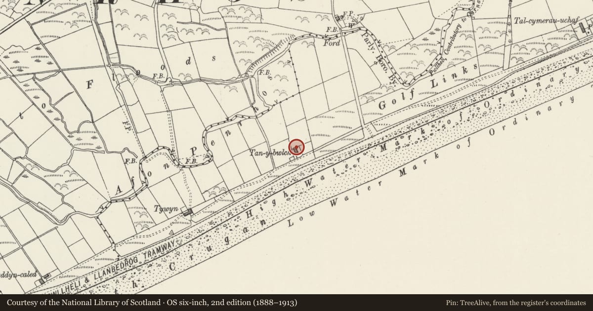 Ordnance Survey six-inch map, 2nd edition (1888–1913) covering the location of Tan-y-Bwlch, Pwllheli, Gwynedd, with a pin at the register's coordinates