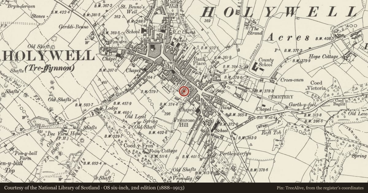 Ordnance Survey six-inch map, 2nd edition (1888–1913) covering the location of 6, Holywell, Flintshire, with a pin at the register's coordinates