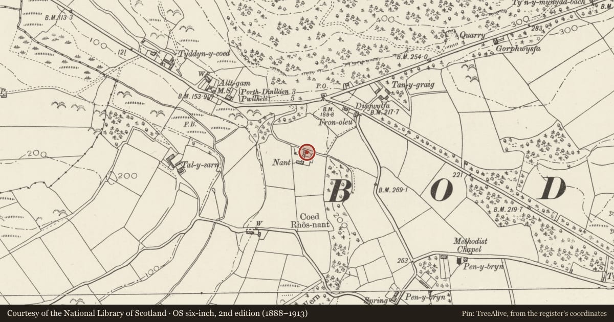 Ordnance Survey six-inch map, 2nd edition (1888–1913) covering the location of Nant Farm, Buan, Gwynedd, with a pin at the register's coordinates