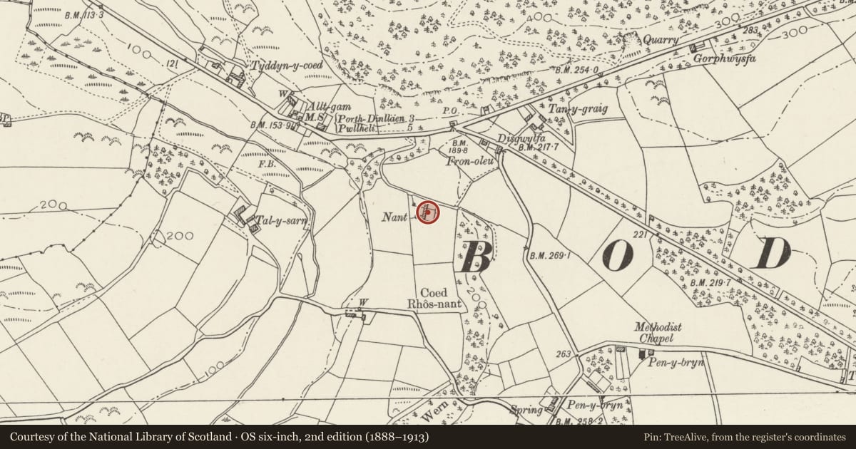 Ordnance Survey six-inch map, 2nd edition (1888–1913) covering the location of E Farmyard Range including water-wheel at Nant Farm, Buan, Gwynedd, with a pin at the register's coordinates
