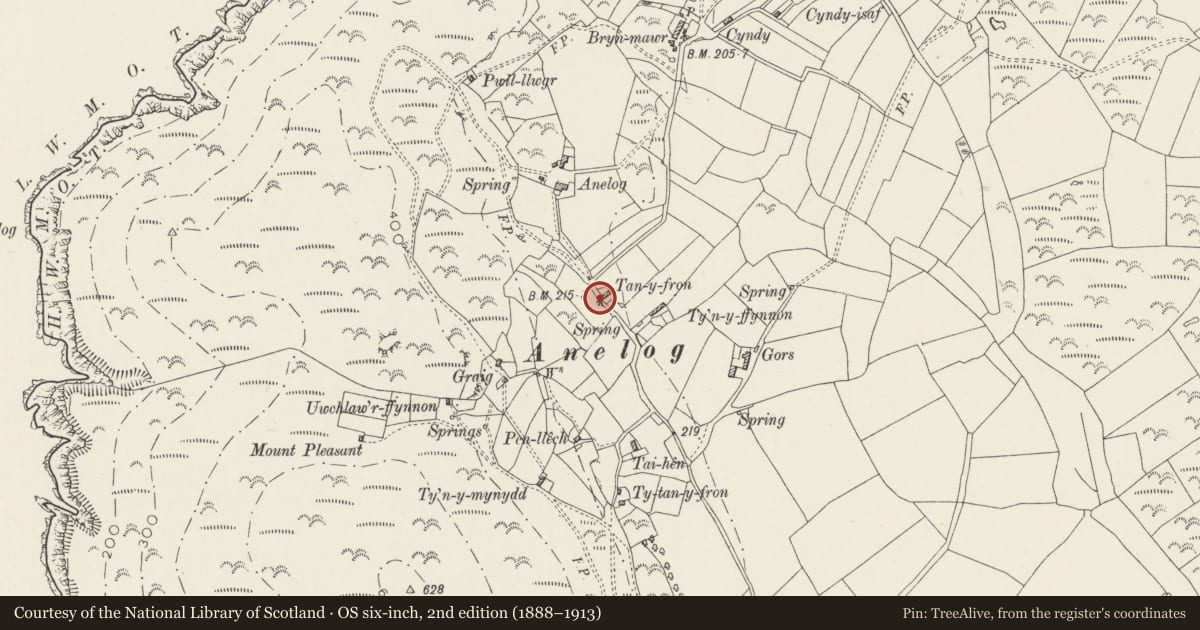 Ordnance Survey six-inch map, 2nd edition (1888–1913) covering the location of Tanyfron, Aberdaron, Gwynedd, with a pin at the register's coordinates