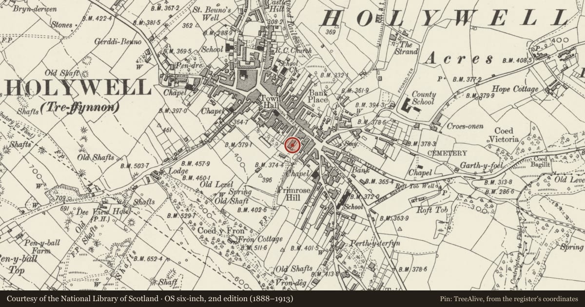 Ordnance Survey six-inch map, 2nd edition (1888–1913) covering the location of 7, Holywell, Flintshire, with a pin at the register's coordinates
