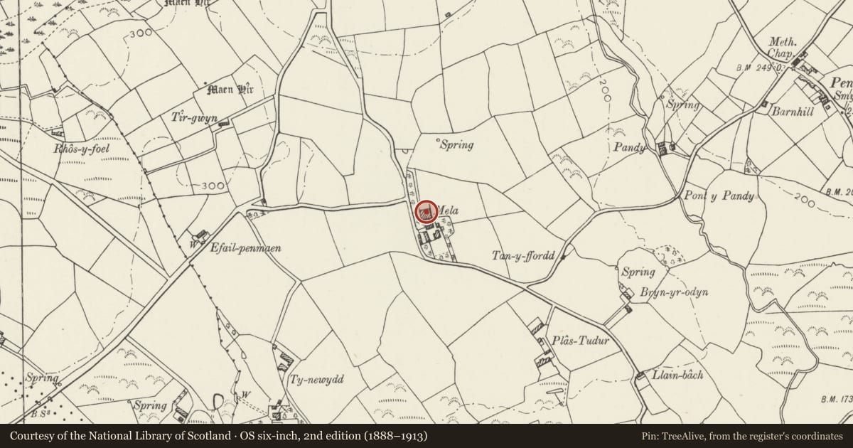 Ordnance Survey six-inch map, 2nd edition (1888–1913) covering the location of Hay Barn at Mela, Llannor, Gwynedd, with a pin at the register's coordinates