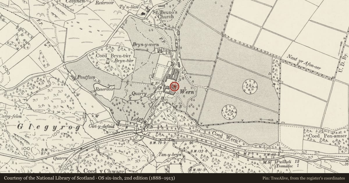 Ordnance Survey six-inch map, 2nd edition (1888–1913) covering the location of Wern Manor, Dolbenmaen, Gwynedd, with a pin at the register's coordinates