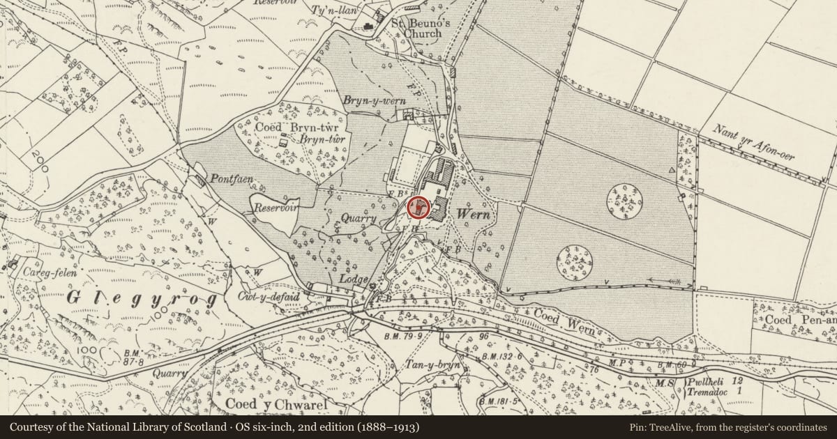 Ordnance Survey six-inch map, 2nd edition (1888–1913) covering the location of Courtyard Ranges to the W of Wern Manor, including Stables, Coachhouse and Tower, Dolbenmaen, Gwynedd, with a pin at the register's coordinates