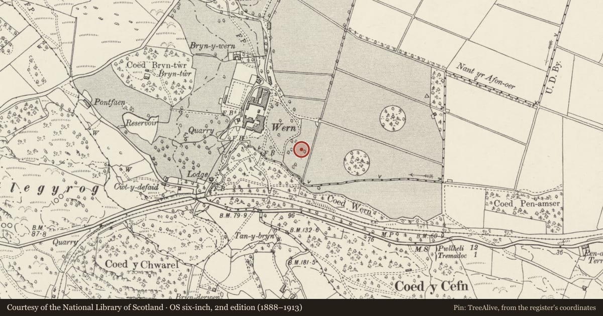 Ordnance Survey six-inch map, 2nd edition (1888–1913) covering the location of Summerhouse at Wern Manor, Dolbenmaen, Gwynedd, with a pin at the register's coordinates