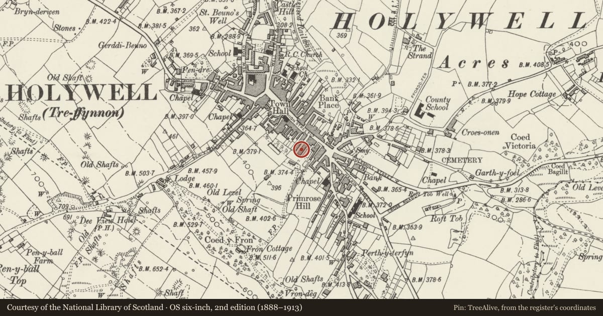 Ordnance Survey six-inch map, 2nd edition (1888–1913) covering the location of 8, Holywell, Flintshire, with a pin at the register's coordinates