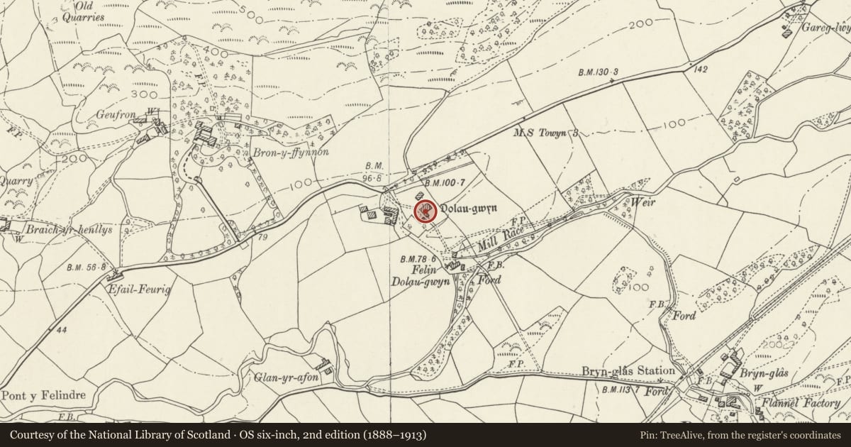 Ordnance Survey six-inch map, 2nd edition (1888–1913) covering the location of Dolaugwyn, Bryn-Crug, Gwynedd, with a pin at the register's coordinates