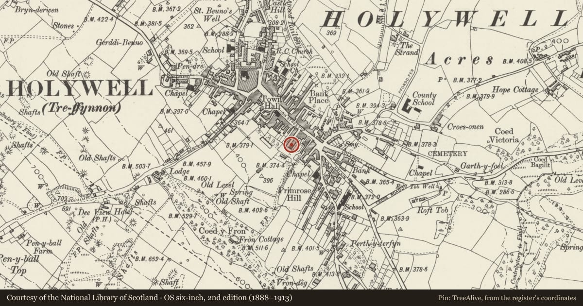 Ordnance Survey six-inch map, 2nd edition (1888–1913) covering the location of 9, Holywell, Flintshire, with a pin at the register's coordinates