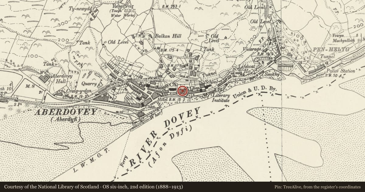 Ordnance Survey six-inch map, 2nd edition (1888–1913) covering the location of Minafon, Aberdovey, Gwynedd, with a pin at the register's coordinates