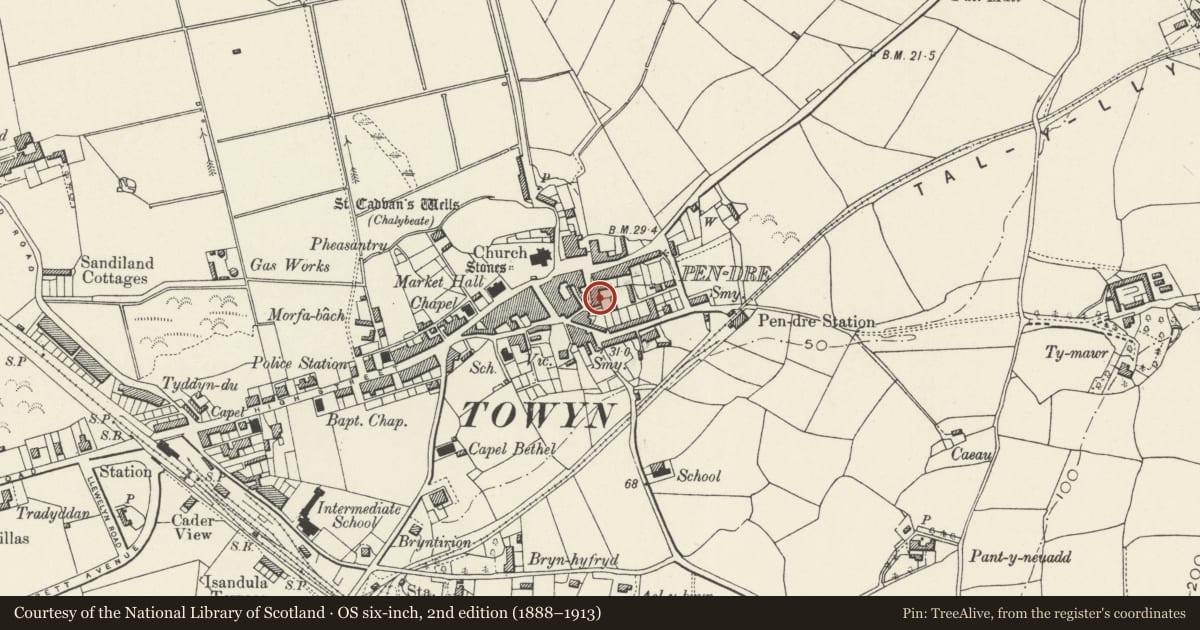 Ordnance Survey six-inch map, 2nd edition (1888–1913) covering the location of 6 Red Lion Street, Tywyn, Gwynedd, with a pin at the register's coordinates