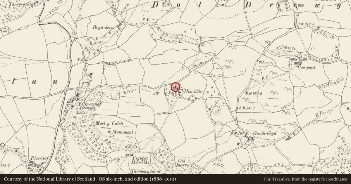 Ordnance Survey six-inch map, 2nd edition (1888–1913) covering the location of Henblas including adjoining Barn Range, Llandderfel, Gwynedd, with a pin at the register's coordinates