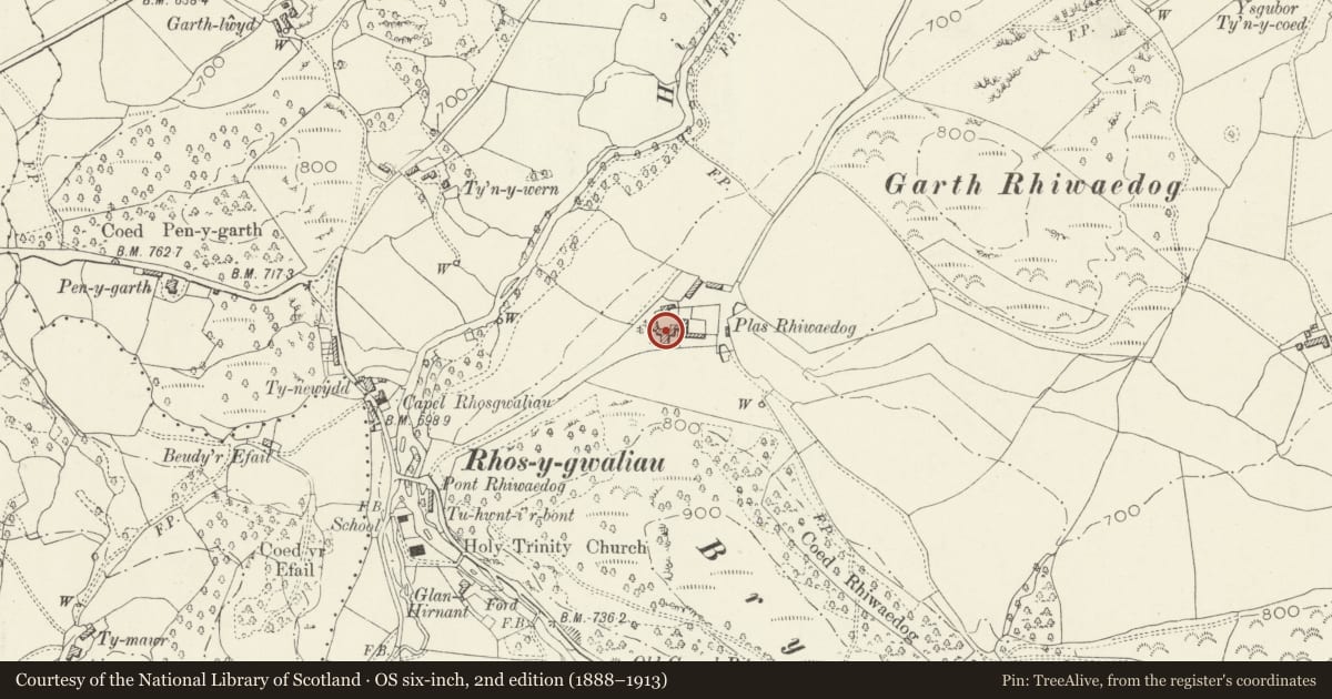 Ordnance Survey six-inch map, 2nd edition (1888–1913) covering the location of Plas Rhiwaedog, Llangywer, Gwynedd, with a pin at the register's coordinates