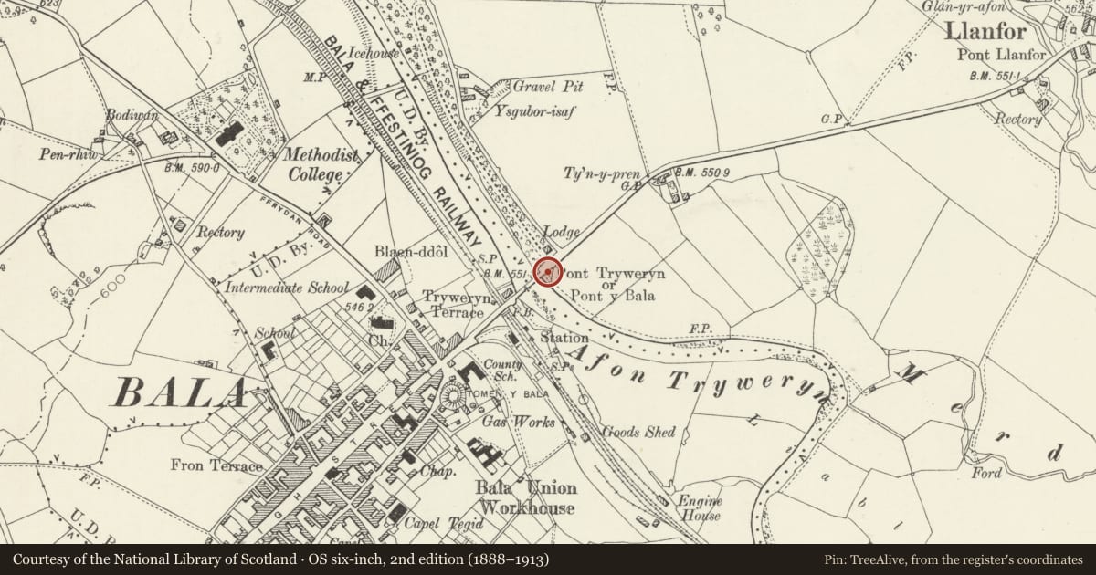 Ordnance Survey six-inch map, 2nd edition (1888–1913) covering the location of Pont y Bala (partly in Bala community), Llandderfel, Gwynedd, with a pin at the register's coordinates