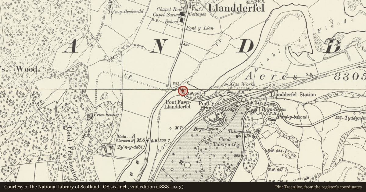 Ordnance Survey six-inch map, 2nd edition (1888–1913) covering the location of Pont Fawr, Llandderfel, Gwynedd, with a pin at the register's coordinates