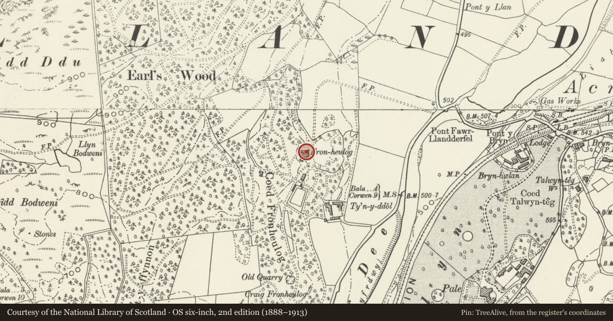 Ordnance Survey six-inch map, 2nd edition (1888–1913) covering the location of Fron Heulog, Llandderfel, Gwynedd, with a pin at the register's coordinates
