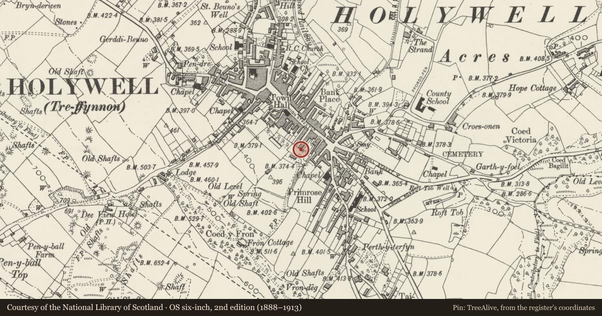 Ordnance Survey six-inch map, 2nd edition (1888–1913) covering the location of 11, Holywell, Flintshire, with a pin at the register's coordinates