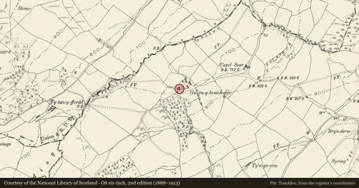 Ordnance Survey six-inch map, 2nd edition (1888–1913) covering the location of Gwern-y-braichdwr, Llandderfel, Gwynedd, with a pin at the register's coordinates