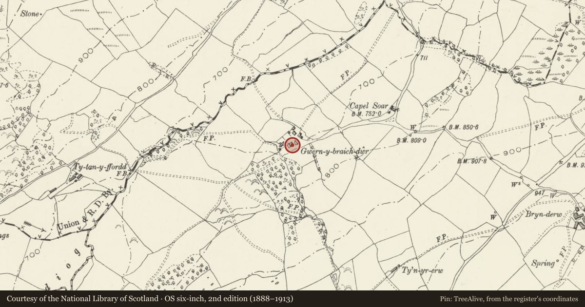 Ordnance Survey six-inch map, 2nd edition (1888–1913) covering the location of Former Stable Block at Gwern-y-braichdwr including adjoining Revetment Wall, Llandderfel, Gwynedd, with a pin at the register's coordinates