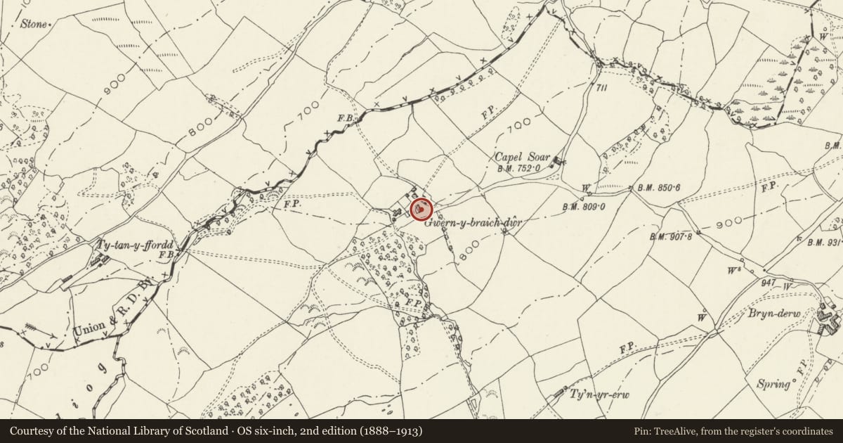 Ordnance Survey six-inch map, 2nd edition (1888–1913) covering the location of Barn at Gwern-y-braichdwr, Llandderfel, Gwynedd, with a pin at the register's coordinates