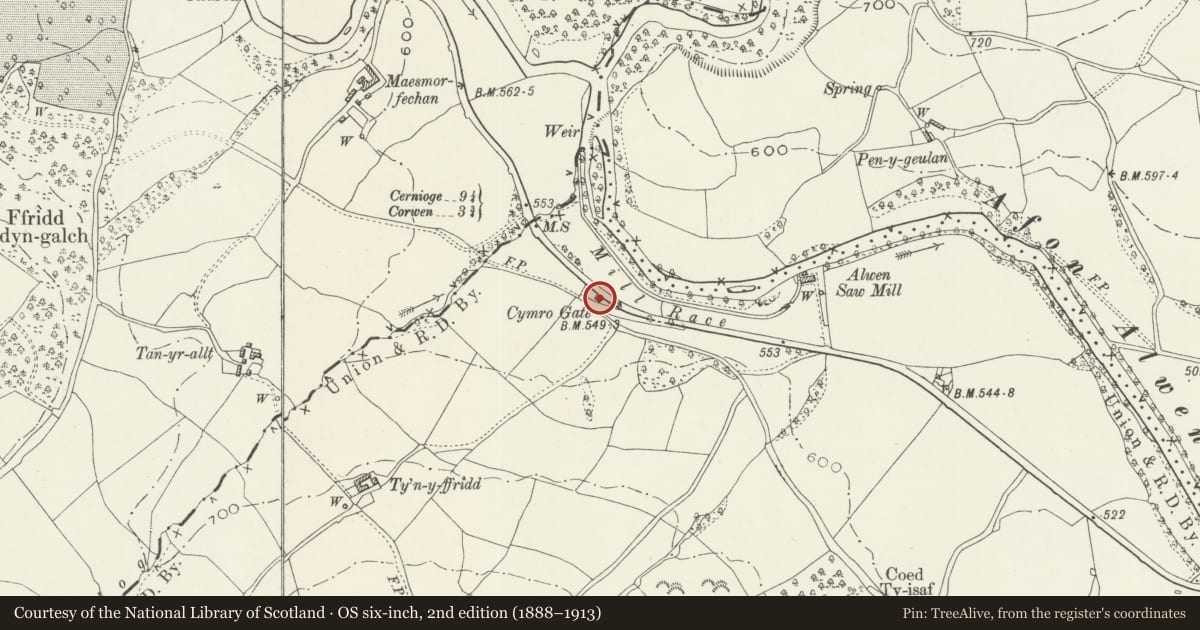 Ordnance Survey six-inch map, 2nd edition (1888–1913) covering the location of Cymro Gate, Llandderfel, Gwynedd, with a pin at the register's coordinates