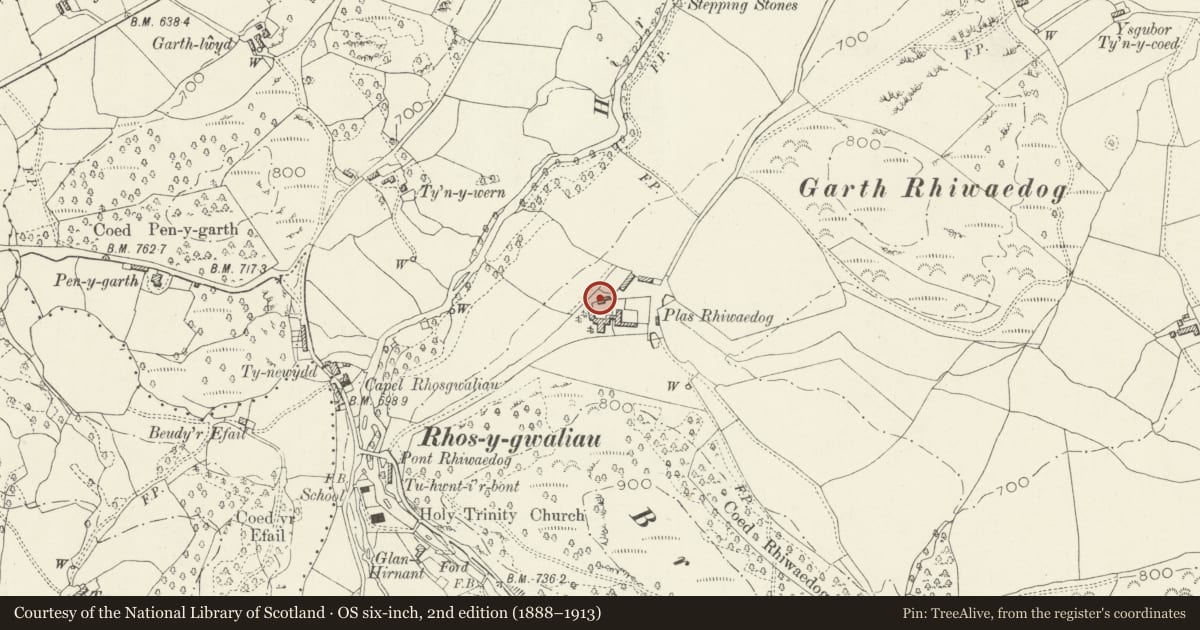 Ordnance Survey six-inch map, 2nd edition (1888–1913) covering the location of Gatehouse at Rhiwaedog, Llangywer, Gwynedd, with a pin at the register's coordinates