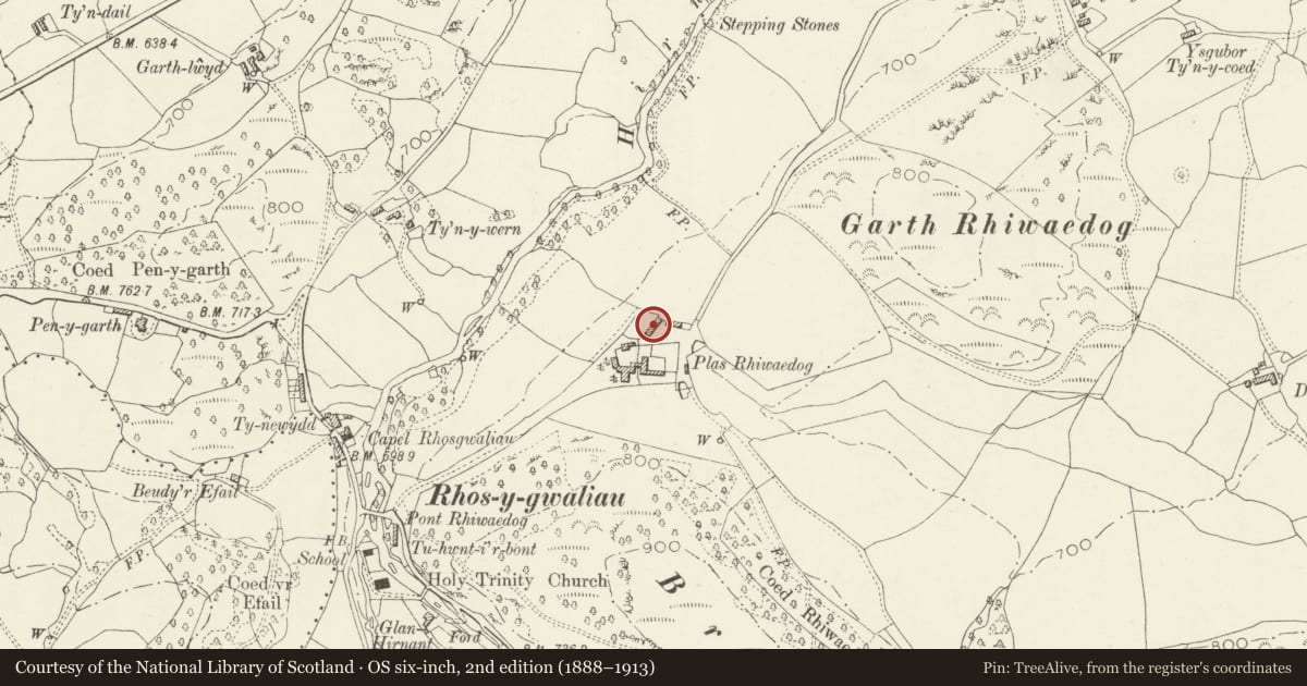 Ordnance Survey six-inch map, 2nd edition (1888–1913) covering the location of Agricultural range at Rhiwaedog Farm, Llangywer, Gwynedd, with a pin at the register's coordinates
