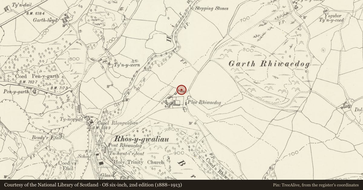 Ordnance Survey six-inch map, 2nd edition (1888–1913) covering the location of Barn at Rhiwaedog Farm, Llangywer, Gwynedd, with a pin at the register's coordinates