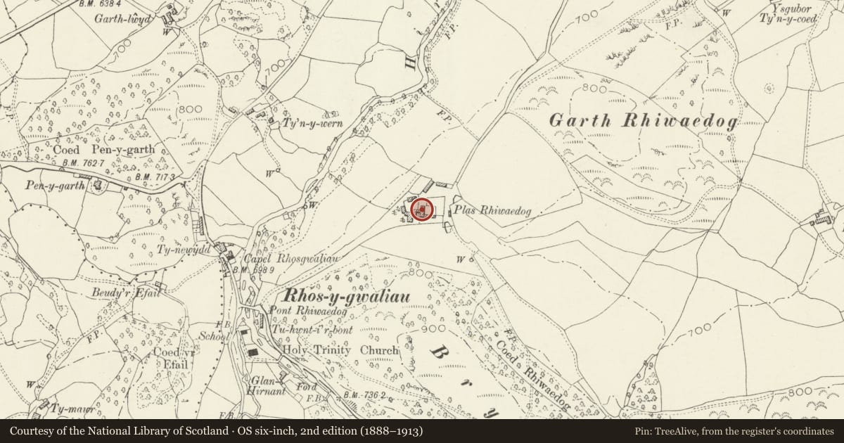 Ordnance Survey six-inch map, 2nd edition (1888–1913) covering the location of Rhiwaedog farmhouse, Llangywer, Gwynedd, with a pin at the register's coordinates