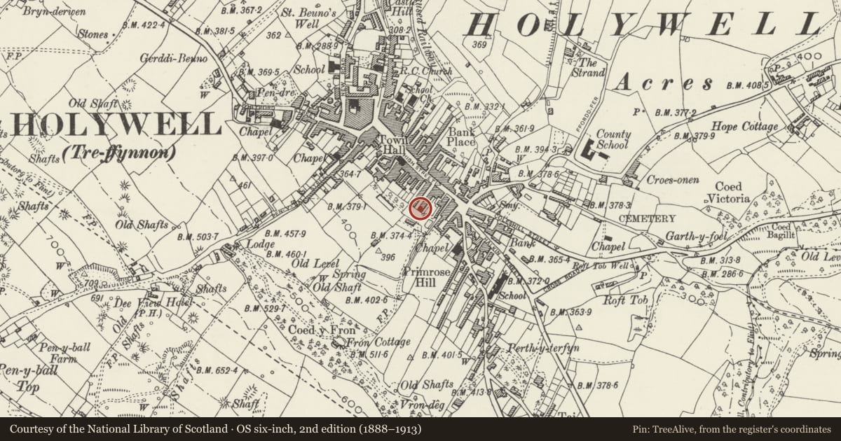 Ordnance Survey six-inch map, 2nd edition (1888–1913) covering the location of 12, Holywell, Flintshire, with a pin at the register's coordinates