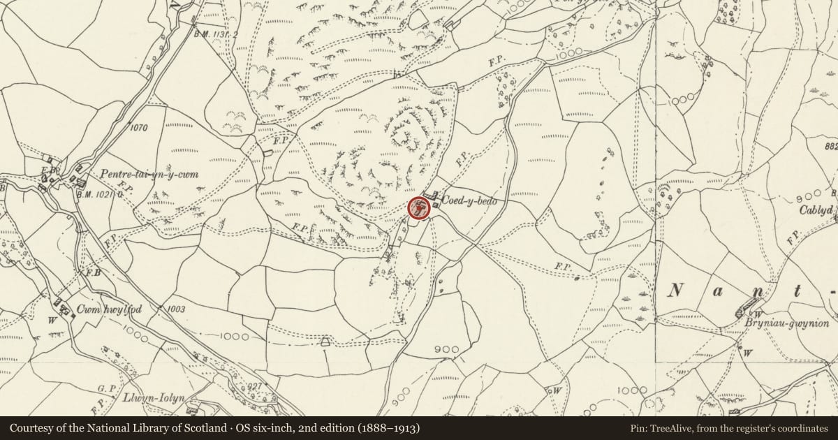Ordnance Survey six-inch map, 2nd edition (1888–1913) covering the location of Coed-y-Bedo including adjoining former Cartsheds and Granary, Llandderfel, Gwynedd, with a pin at the register's coordinates
