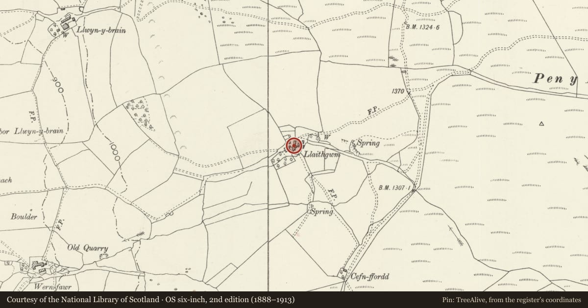 Ordnance Survey six-inch map, 2nd edition (1888–1913) covering the location of Llaithgwm including adjoining Agricultural Ranges to North and South, Llandderfel, Gwynedd, with a pin at the register's coordinates