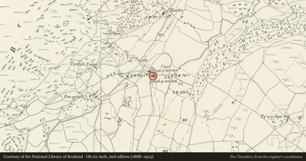 Ordnance Survey six-inch map, 2nd edition (1888–1913) covering the location of Rhydywernen, Llandderfel, Gwynedd, with a pin at the register's coordinates