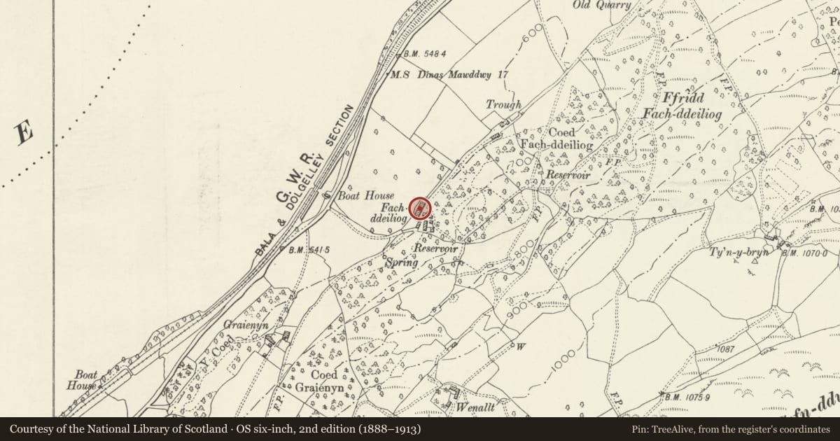 Ordnance Survey six-inch map, 2nd edition (1888–1913) covering the location of Fach Ddeiliog (Bala Lakeside Hotel), Llangywer, Gwynedd, with a pin at the register's coordinates