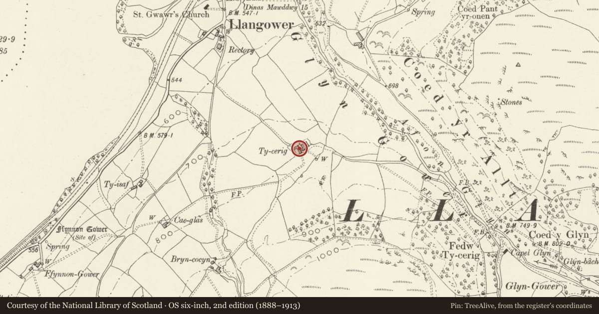 Ordnance Survey six-inch map, 2nd edition (1888–1913) covering the location of Ty-Cerrig, Llangywer, Gwynedd, with a pin at the register's coordinates