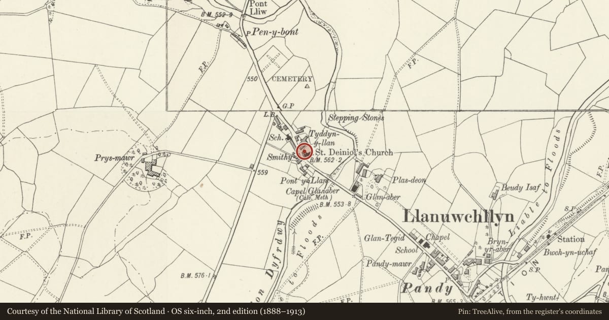 Ordnance Survey six-inch map, 2nd edition (1888–1913) covering the location of Lychgate at the Parish Church of St Deiniol, including walls and railings to churchyard, Llanuwchllyn, Gwynedd, with a pin at the register's coordinates