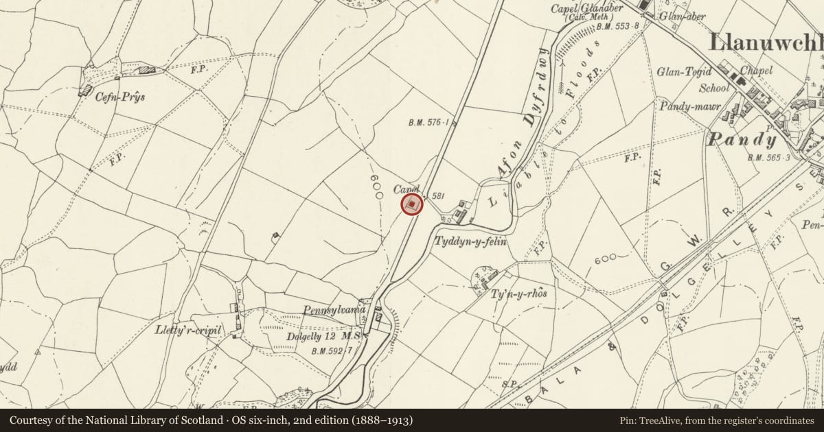 Ordnance Survey six-inch map, 2nd edition (1888–1913) covering the location of Capel Ainon, Llanuwchllyn, Gwynedd, with a pin at the register's coordinates